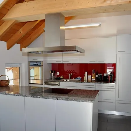 公寓 Chasa Doess 3 施库尔